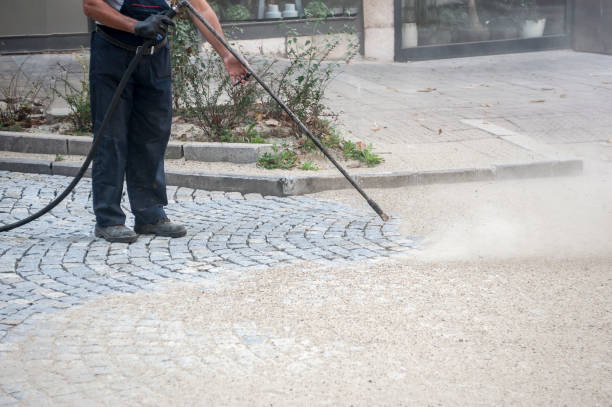Best Pre-Holiday Cleaning  in Steele, AL